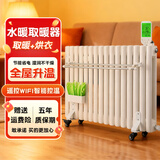 臻泊迩取暖器注水式电暖气片电暖器壁挂立式水暖家用全屋取暖大面积升温插电节能省电加水循环散热器烘衣 10柱智能遥控款【10-12㎡】