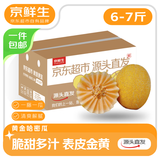 京鲜生 黄金哈密瓜 1-2粒 净重6-7斤 源头直发包邮