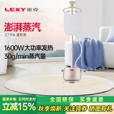 莱克（LEXY） 挂烫机GT306家用蒸汽电熨斗烫衣服大功率手持挂式熨烫机【高温蒸汽消毒】衣物消毒