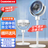长虹（CHANGHONG）空气循环扇电风扇交流定频家用落地扇办公涡轮换气对流扇摇头风扇台立两用 CFS-LD1902