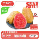 京鲜生 树熟软糯红心芭乐 净重4.5斤装单果150g+ 新鲜番石榴 源头直发