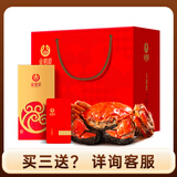 【礼券】金碧波大闸蟹公蟹4.0两母蟹3.0两4对8只中秋国庆生鲜螃蟹礼盒礼品卡海鲜水产