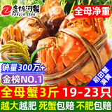 【活蟹】网兜蟹辽宁盘锦河蟹稻田河蟹礼盒螃蟹鲜活大闸蟹无绳净重 全母蟹丨1.3-1.6两【3斤】19-23只