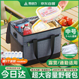 菱动力（LINGDONGLI）保温箱露营户外保温饭盒袋冰袋冷藏包母乳储奶背送奶保药品