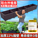 原起点阳台楼顶种菜箱长方形蔬菜种植箱神器种菜盆菜箱塑料花箱户外 常用3联箱 150*40*22cm