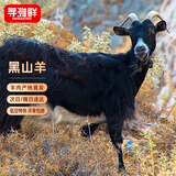 寻滩鲜宁夏滩羊肉 黑山羊32斤 全羊整只 清真 年货礼盒 源头直发