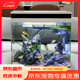 森森桌面 超白玻璃一体小鱼缸水族箱HNE300