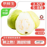 京鲜生 广东树熟软糯奶油芭乐 净重2.5斤装单果150g+ 番石榴 源头直发