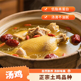 草原宏达 汤鸡 700g 散养鸡肉 冷冻新鲜鸡肉 净膛 汤鲜肉嫩 