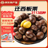 迁西鲜板栗2025年新生板栗大颗粒特选栗子新鲜例子甜栗子河北唐山特产 迁西3113大果 5斤 （布袋+开栗器）