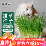 花沃里猫草种子50g*2包小麦草籽 花种子水培盆栽土太阳花卉种子阳台庭院