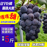 顺丰辽宁巨峰葡萄5斤新鲜东北大葡萄当季现摘水果巨甜无籽黑提子L 净重5斤装【顺丰快递】