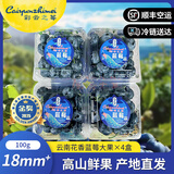 彩云之莓【云南露天花香蓝莓】云南蓝莓脆甜新鲜现摘产地直发水果 四盒装（实惠尝鲜）100g/盒 12mm+【珍珠小果 精品尝鲜】