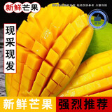 京榴香国产新鲜芒果 新鲜水果生鲜 整箱约1.2-1.0斤/净含量450g