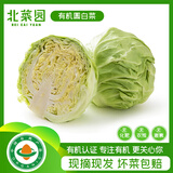 北菜园有机圆白菜400g 卷心菜包菜新鲜蔬菜【进店多样加购】北京延庆