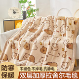 南极人（Nanjiren） 拉舍尔毛毯被盖毯冬季加厚双层婚庆超柔保暖单双人被子绒毯子 025 萌萌水豚 200*230cm约7斤