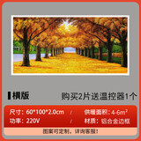 格力（GREE）取暖器同款新款石墨烯壁画取暖器碳晶墙暖电暖气远红外取暖装饰家用暖气片 500瓦白框黄金大道