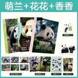 【当当 正版包邮】熊猫花花 萌兰 香香 福宝 渝可渝爱书 蒋林 谭爷爷与果赖 三太子么么儿 熊猫科普图鉴成长记录熊猫的书 熊猫相关的书 【3册】熊猫花花+熊猫香香+熊猫萌兰
