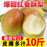 源自新疆红香酥梨新鲜梨子3/5/10斤脆甜皮薄梨子应季水果整箱批发 带箱10斤【净重9斤】特级装