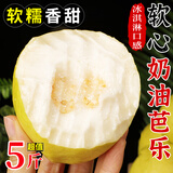 甜野里福建红心芭乐软糯番石榴5斤白心软芭乐冰淇淋口感胭脂红送礼水果 5斤甄选老树白芭乐【净重4.5斤】 【JDL冷链速运】