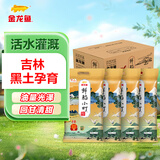金龙鱼 东北大米 鲜稻小町 寿司香米 10斤*4袋/箱 40斤整箱装