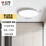 公牛（BULL）吸顶灯IP50防尘防虫卧室阳台过道灯MX-A018C-AS全白18W 