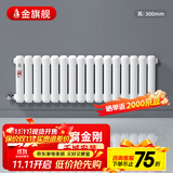 金旗舰暖气片家用钢制水暖壁挂式全屋暖气定制集中供暖自采暖立式散热器 防腐金刚60F-高300mm 6分口