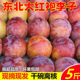 东北大红袍李子新鲜李应当季现摘脱骨李子黄心黑布林黄肉恐龙蛋 3斤大果【1斤约2-4个】