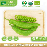 有机汇有机尖椒 微辣长辣椒 有机蔬菜无农残 基地自种 当天新鲜采摘 250g