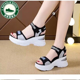 NATHALIE RAOUL凉鞋女款2025年最新款厚底品牌真软皮运动夏季魔术贴坡跟厚底增高 银色 (真皮质感) 35