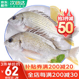哆鲜生 活冻黄翅鱼 野外海捕黄鳍鲷黄脚立鱼 三去国产生鲜冷冻鱼类 2-3条/袋 净重400g