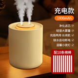 卡西道夫升级版加湿器小型桌面usb家用办公室卧室婴儿孕妇可充电双喷大雾量宿舍喷雾器 充插两用款【10条替换棉芯】