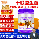 牧诗伦无蔗糖添加骆驼奶粉1罐1000g新疆正宗中老年成人益生菌高钙营养粉