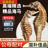 精选正宗海马干货一对泡酒材料煲汤料海马干货新鲜晾晒滋补非肾补 八对装[送礼佳品7至18CM海马]送 (公母搭配营养翻倍)
