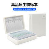 铁牛（Tieniu）高清显微镜中小学生中考标本切片套装植物动物细胞儿童实验礼物