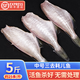 鲸甘郎耗儿鱼新鲜三去大马面鱼生鲜冷冻中号剥皮鱼海鲜水产无头鱼扒皮鱼 5斤中号【20条-30条/斤】免处理