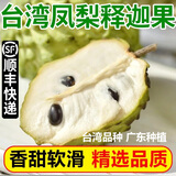 良知农哥【顺丰】台湾品种释迦果/本地释迦果 新鲜佛头果 凤梨释迦 4斤6-8个台湾释迦
