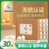 硒全食美 富硒精品新鲜鸽子蛋 30枚 550g 孕妇儿童宝宝鸽子蛋