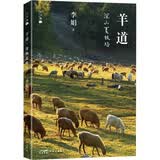 羊道 深山夏牧场