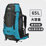ALPINT MOUNTAIN埃尔蒙特65L大容量登山包背包双肩包男款旅行包女士专业户外徒步