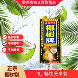 椰树 椰汁 1L*1盒 合意盖 植物蛋白饮料 正宗海南特产