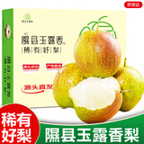 京地达梨子山西隰县玉露香梨净重8.5斤单果350+应季水果源头直发包邮