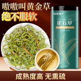 福东海化石草80克 肾精草嗷嗷叫黄金草当季鲜采猫须草养生花草茶泡水