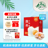 九華粮品 散养土鸡蛋40枚 净重3.2斤 农家柴鸡蛋 笨鸡蛋 礼盒