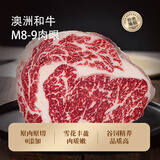 澳洲进口M8-M9雪花和牛眼肉 牛排肉 谷饲原切雪花和牛肉 500g（2-3片）