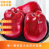 天水花牛苹果甘肃天水花牛苹果 粉面香甜 (需放粉) 新鲜水果 源头直发 小果净重3斤60-69mm