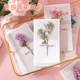 青苇 贺卡8张ins风满天星干花生日礼物卡商务礼品卡鲜花留言卡手写卡