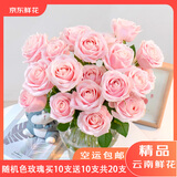 京东鲜花产地仓严选云南基地鲜花直发无土随机玫瑰买10枝送10枝生活鲜花