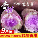 广东湛江沙地冰淇淋红薯9斤新鲜现挖香薯白薯地瓜粉糯一点红紫薯L 带箱3斤中果【现挖现发】
