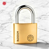 梅花（BLOSSOM）铜挂锁办公室宿舍铜锁仓库大铁门柜门锁防水防锈锁BC9040